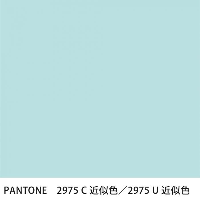  PANTONE 2975C2975U