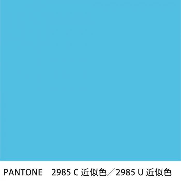  PANTONE 2985C2985U