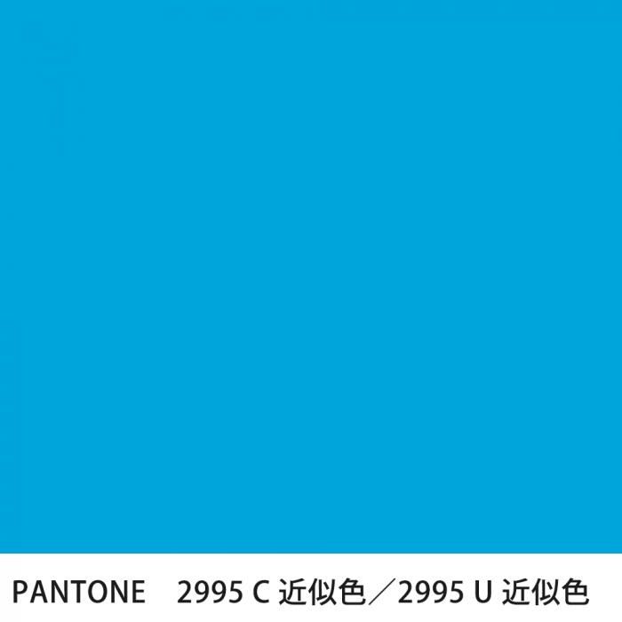  PANTONE 2995C2995U