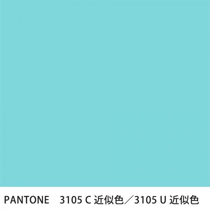  PANTONE 3105C3105U