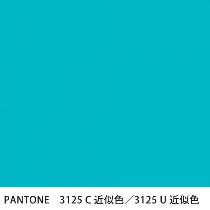  PANTONE 3125C3125U