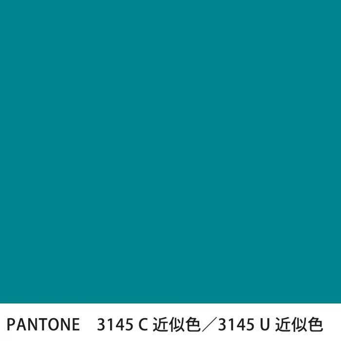  PANTONE 3145C3145U