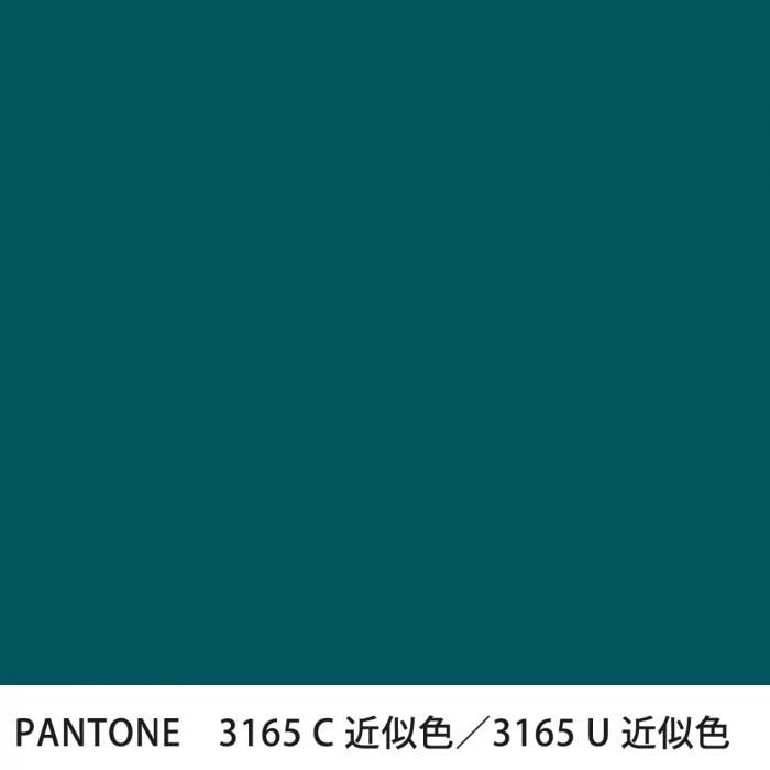  PANTONE 3165C3165U