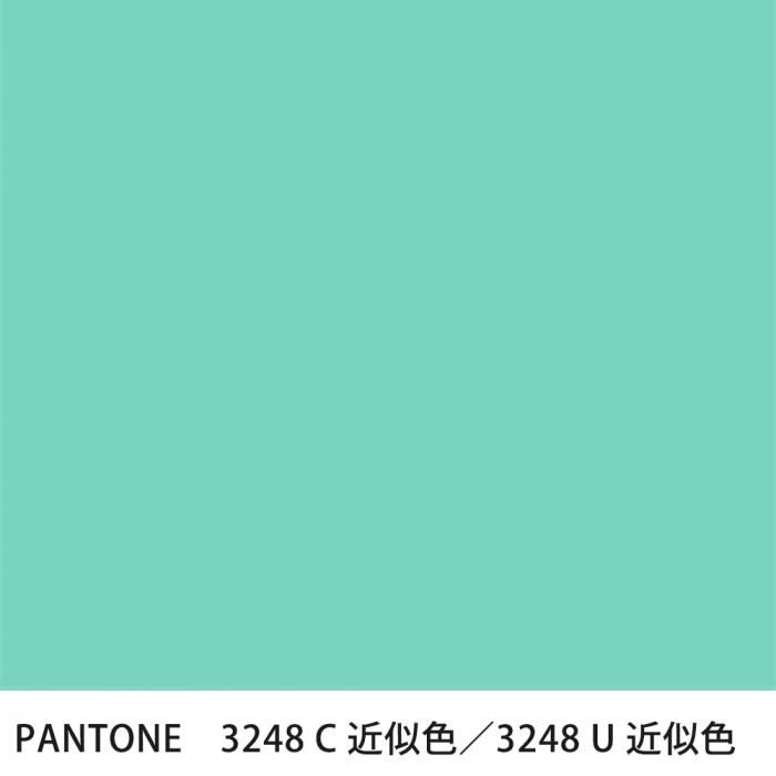  PANTONE 3248C3248U