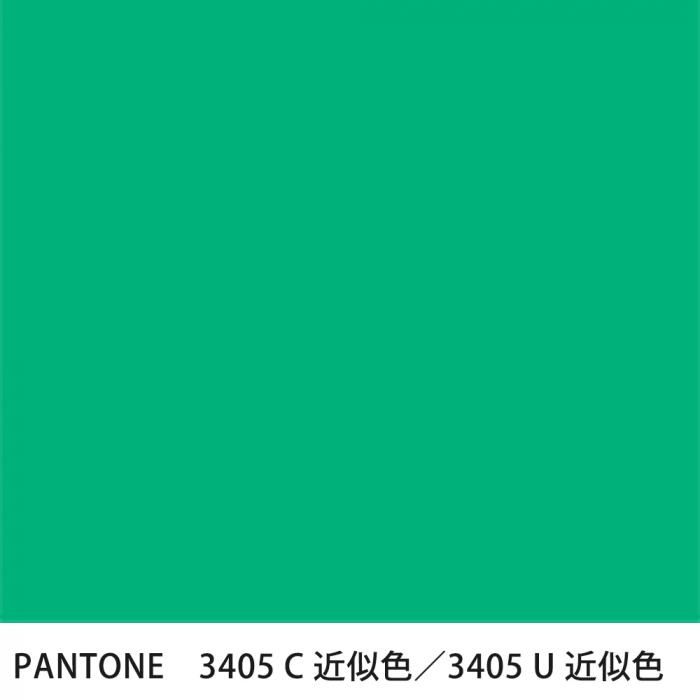  PANTONE 3405C3405U