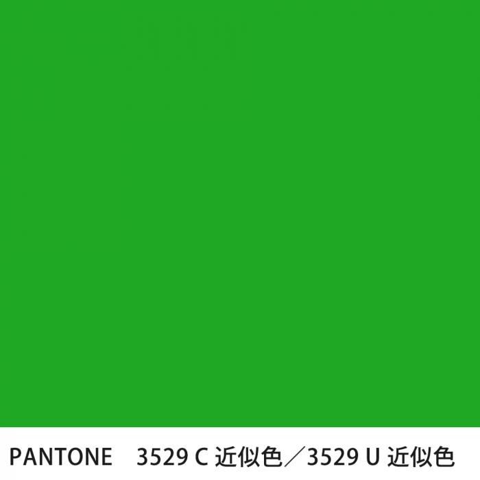  PANTONE 3529C3529U