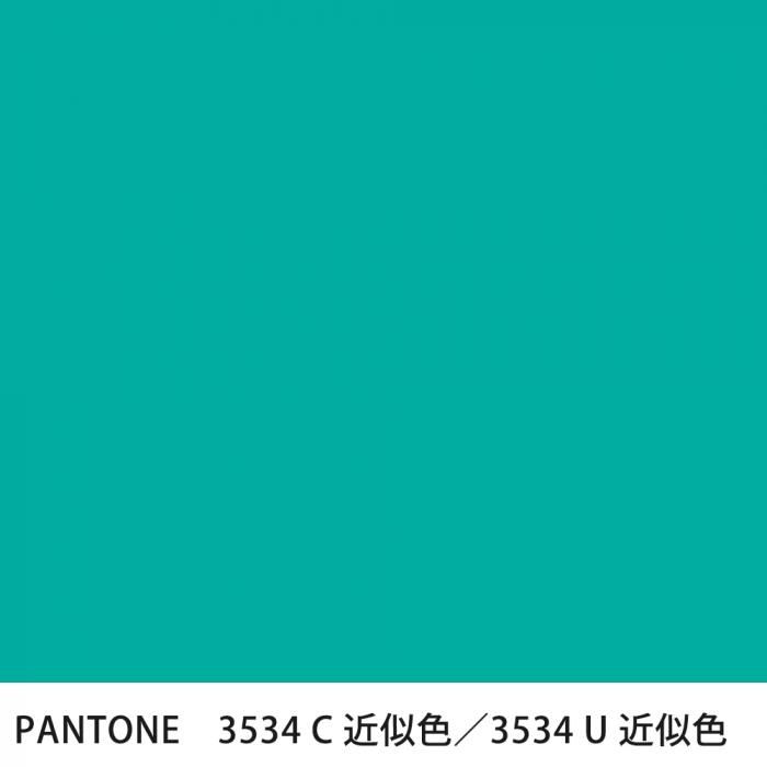  PANTONE 3534C3534U