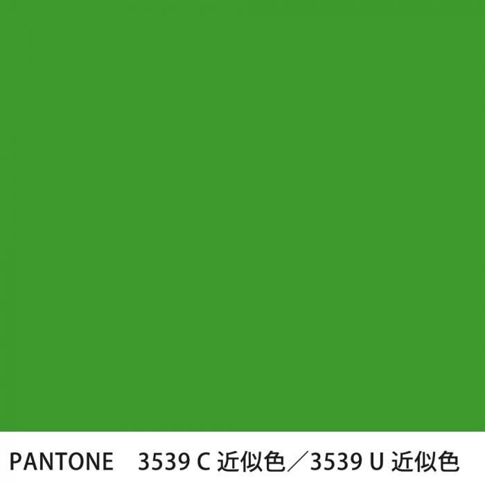  PANTONE 3539C3539U