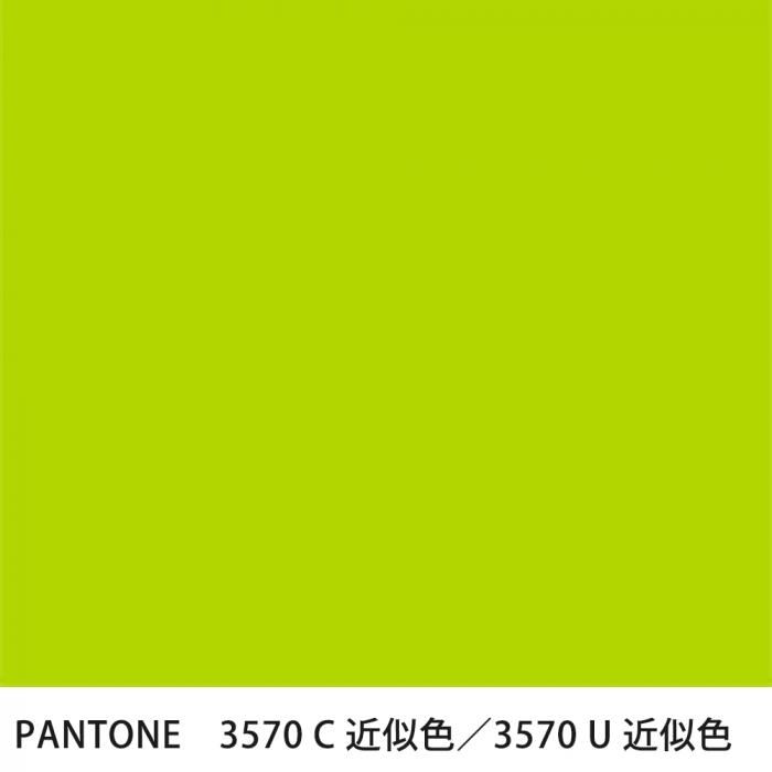  PANTONE 3570C3570U