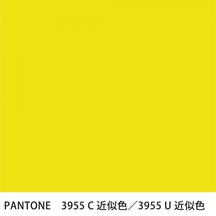  PANTONE 3955C3955U