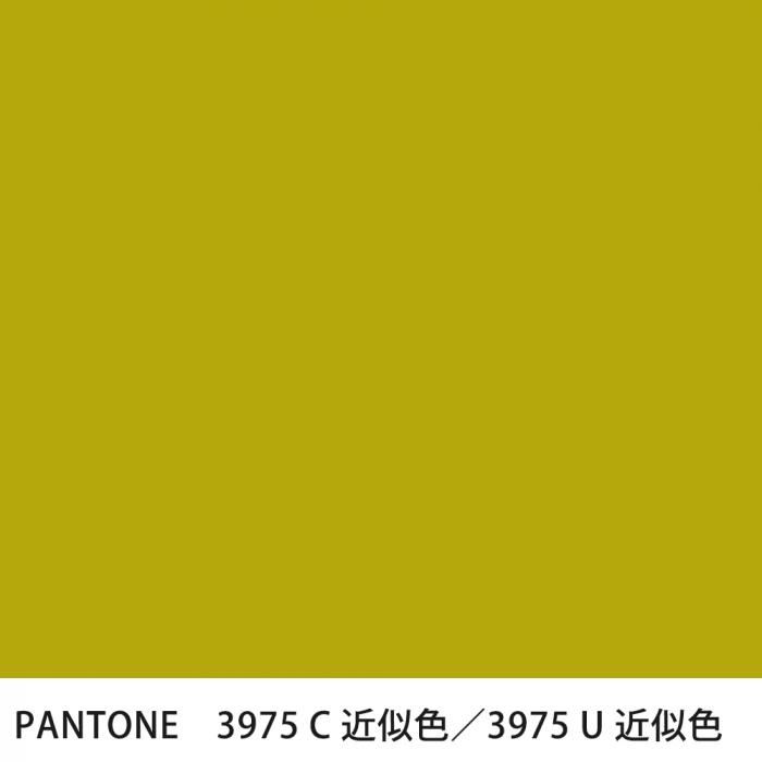  PANTONE 3975C3975U