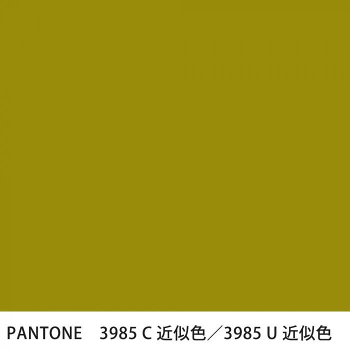  PANTONE 3985C3985U