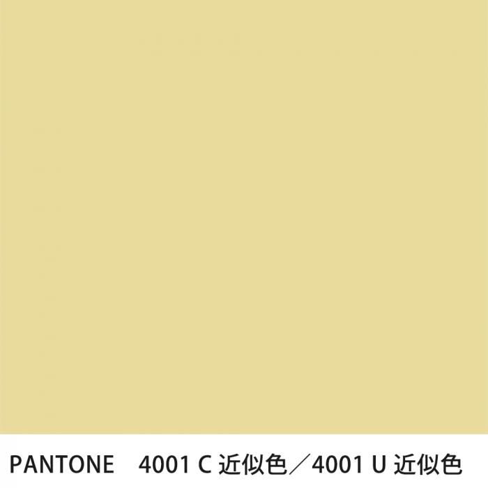  PANTONE 4001C4001U