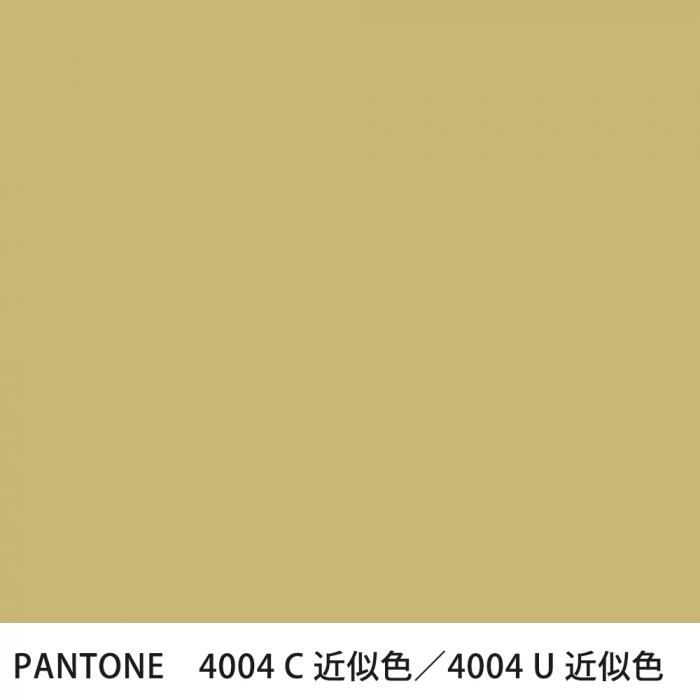  PANTONE 4004C4004U