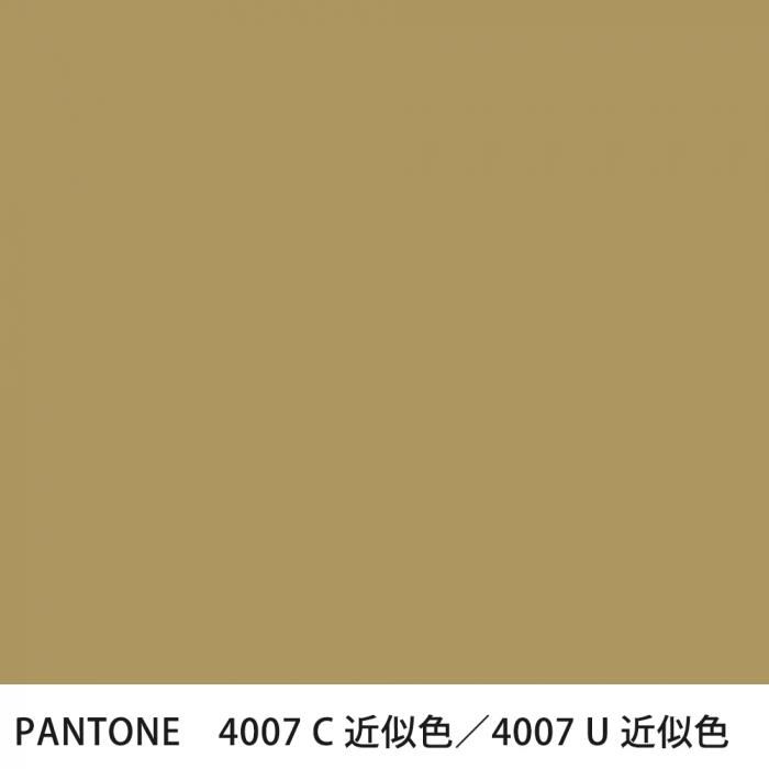  PANTONE 4007C4007U