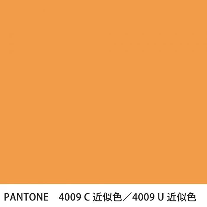  PANTONE 4009C4009U