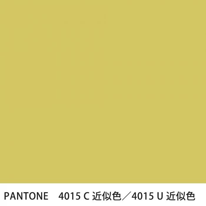  PANTONE 4015C4015U