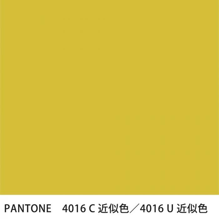  PANTONE 4016C4016U