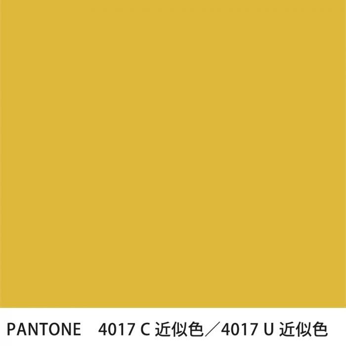  PANTONE 4017C4017U