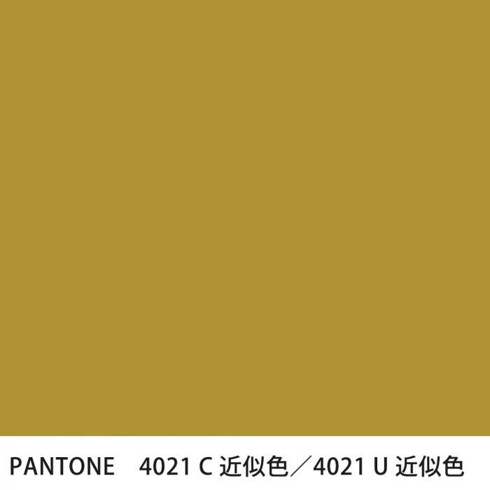  PANTONE 4021C4021U