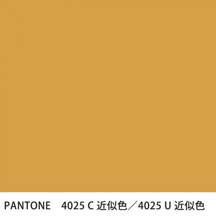  PANTONE 4025C4025U