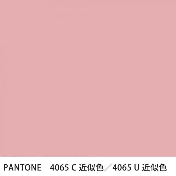  PANTONE 4065C4065U