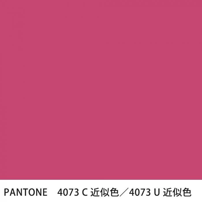  PANTONE 4073C4073U