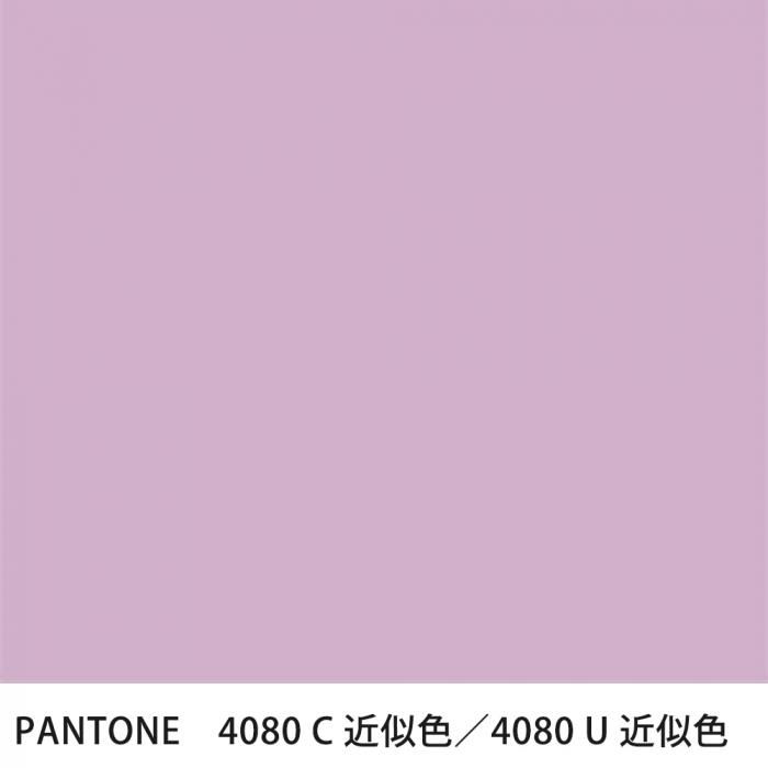  PANTONE 4080C4080U