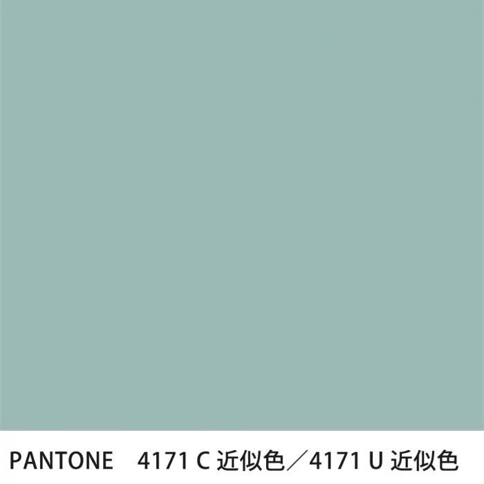  PANTONE 4171C4171U