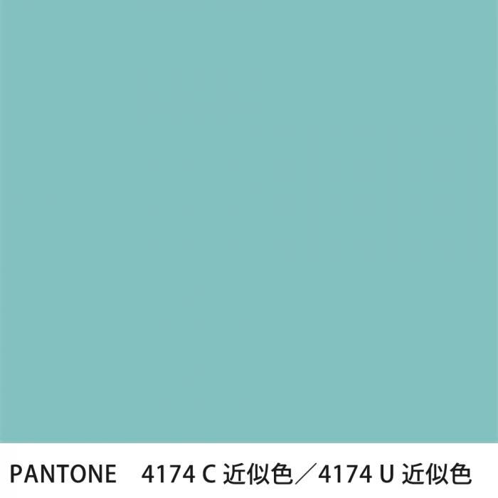  PANTONE 4174C4174U