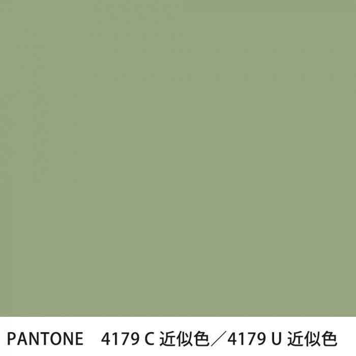  PANTONE 4179C4179U