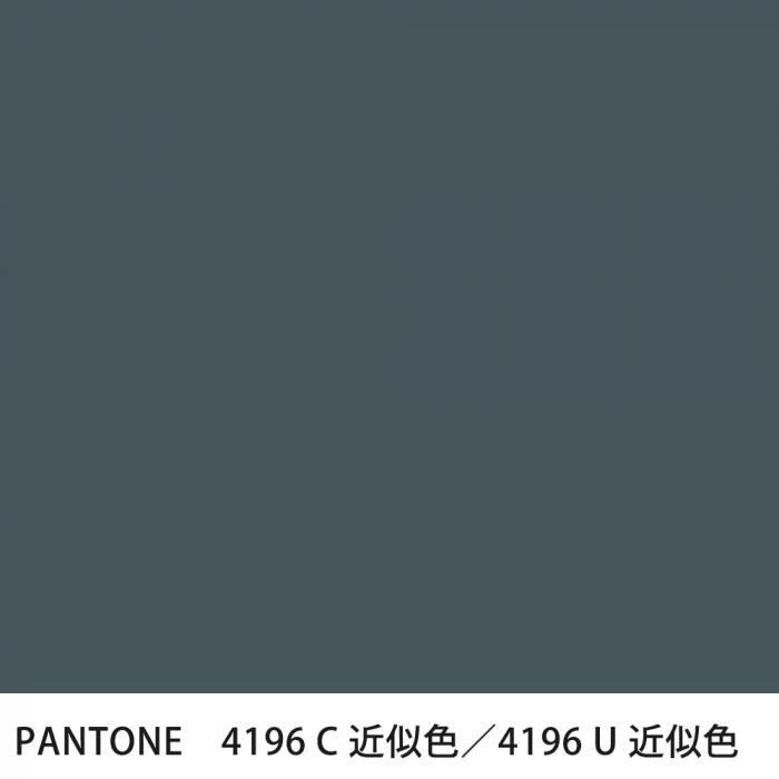  PANTONE 4196C4196U