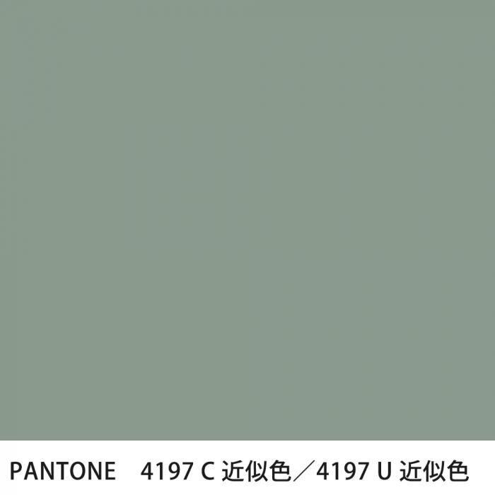  PANTONE 4197C4197U