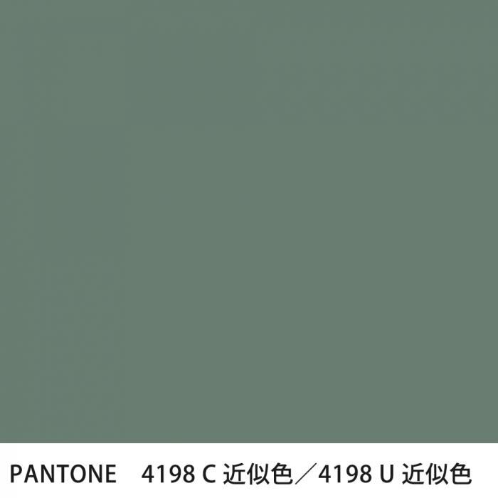  PANTONE 4198C4198U