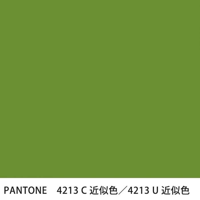  PANTONE 4213C4213U