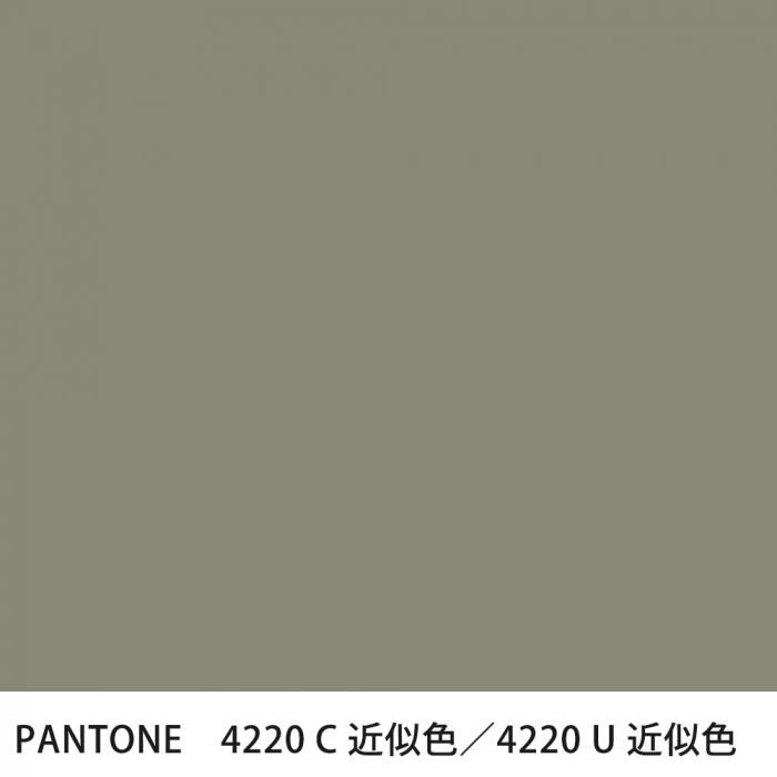  PANTONE 4220C4220U