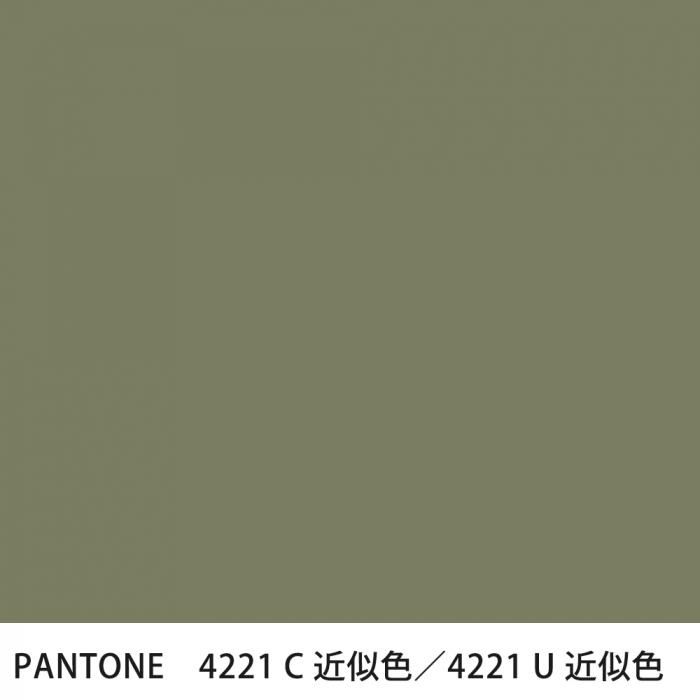  PANTONE 4221C4221U