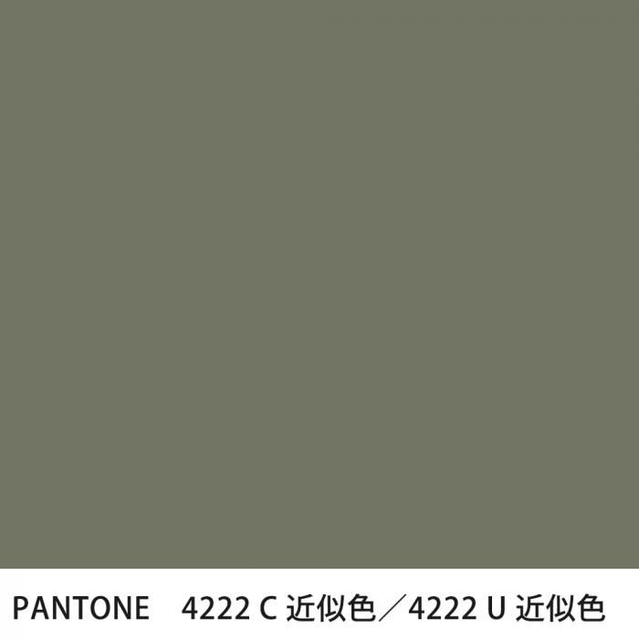  PANTONE 4222C4222U