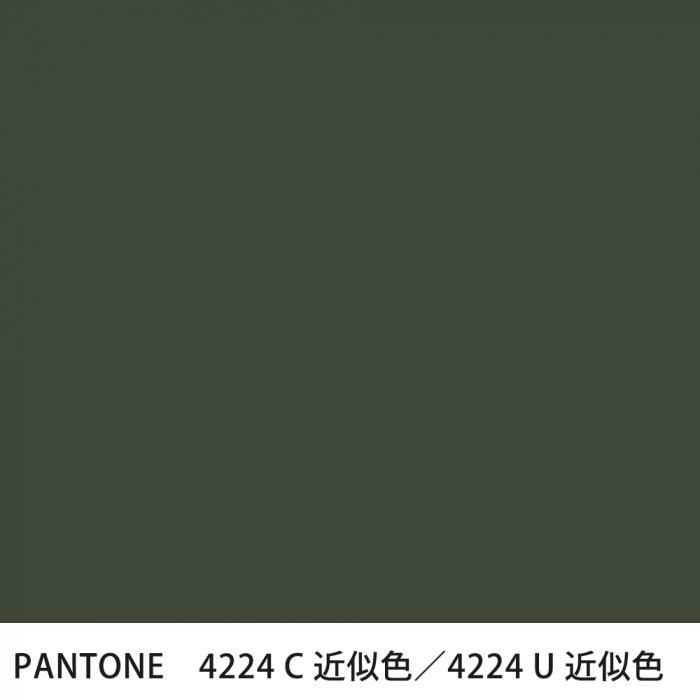  PANTONE 4224C4224U