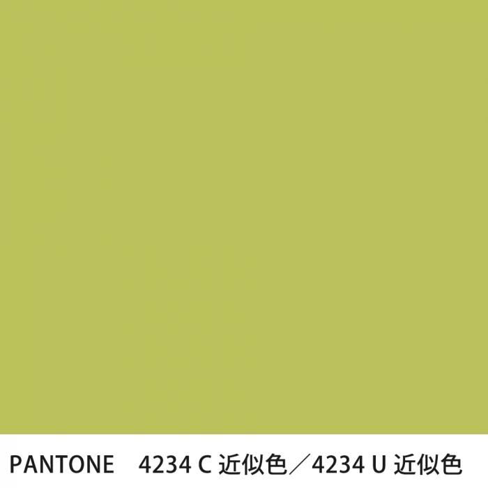  PANTONE 4234C4234U