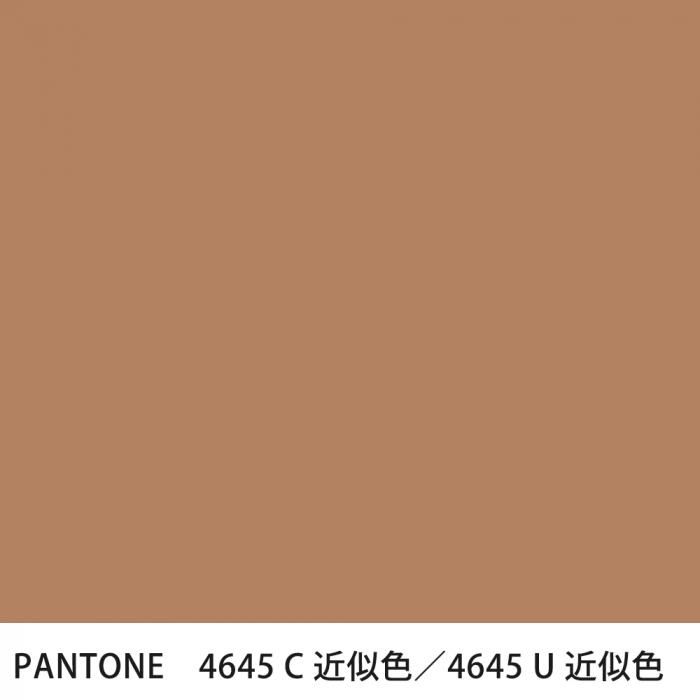  PANTONE 4645C4645U