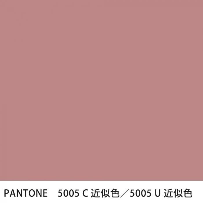  PANTONE 5005C5005U