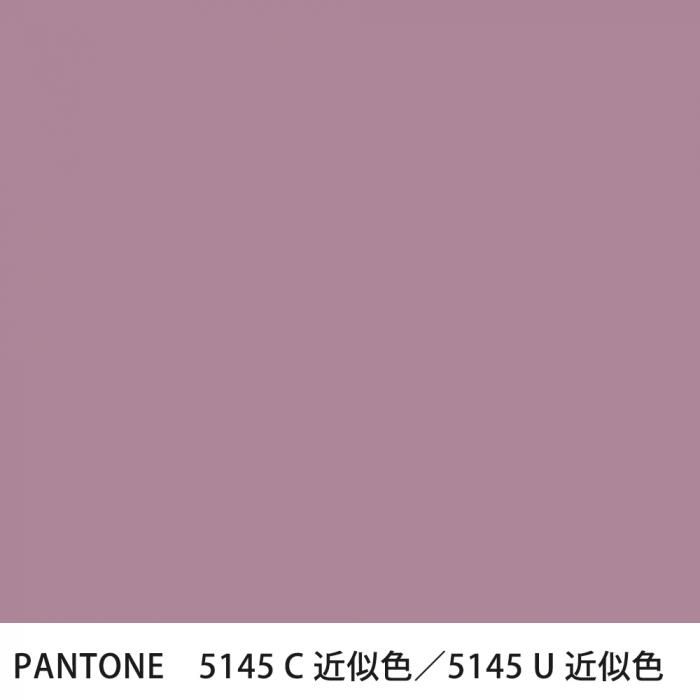  PANTONE 5145C5145U