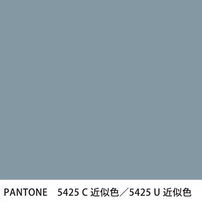  PANTONE 5425C5425U