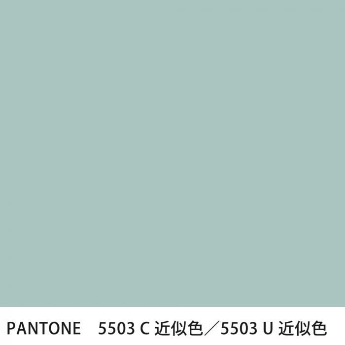  PANTONE 5503C5503U