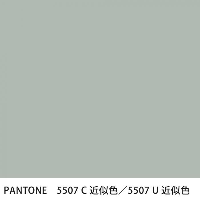  PANTONE 5507C5507U