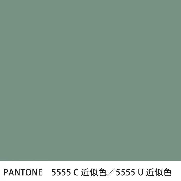  PANTONE 5555C5555U