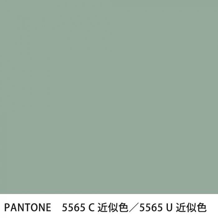  PANTONE 5565C5565U