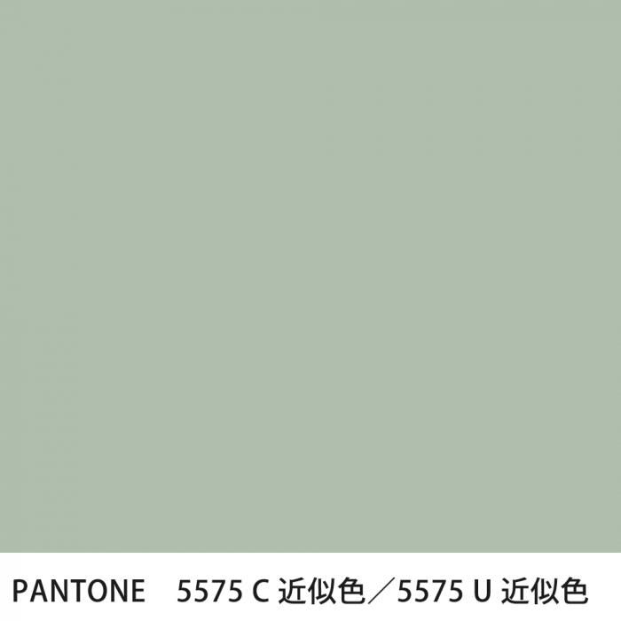  PANTONE 5575C5575U