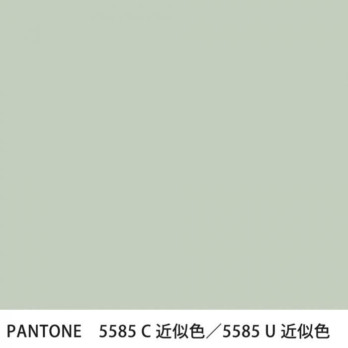  PANTONE 5585C5585U